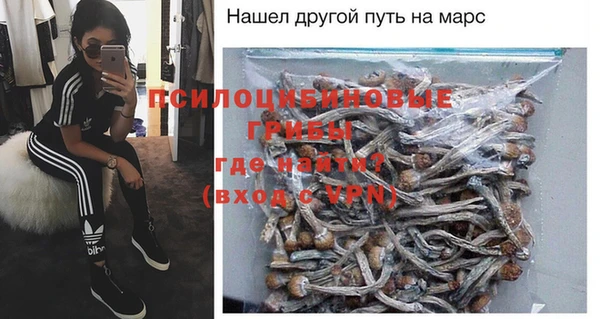МДПВ Алексин