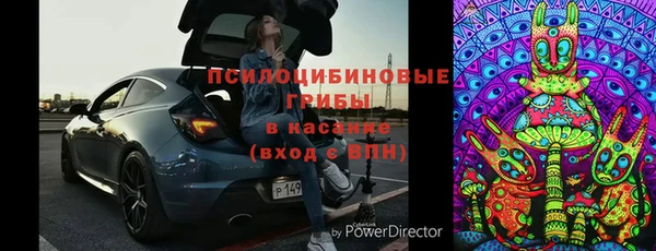 МДПВ Алексин